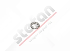 Mechanism Spring Raynel