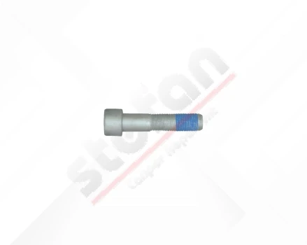 Bolt M16 x 1,5 x 100 mm