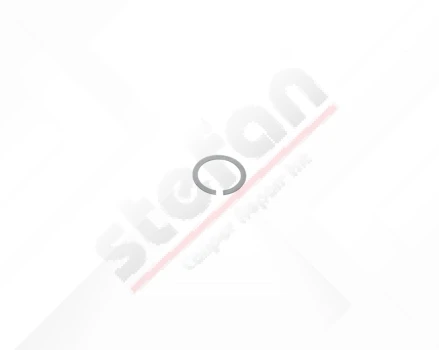 Pin Circlip Ø43 x 1,5 mm