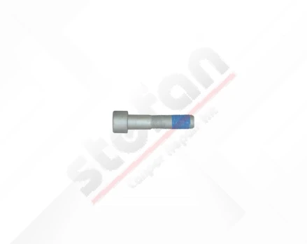 Bolt M16 x 1,5 x 73 mm